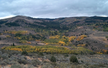 Autumn at the Reynolds Creek CZO in Southwest Idaho; carbon in soil is a research focus.